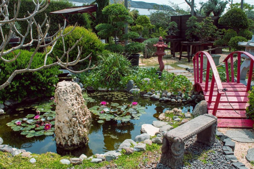 המשתלה היפנית המשתלה היפנית