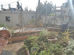 אולפנא ת. לאומנויות
