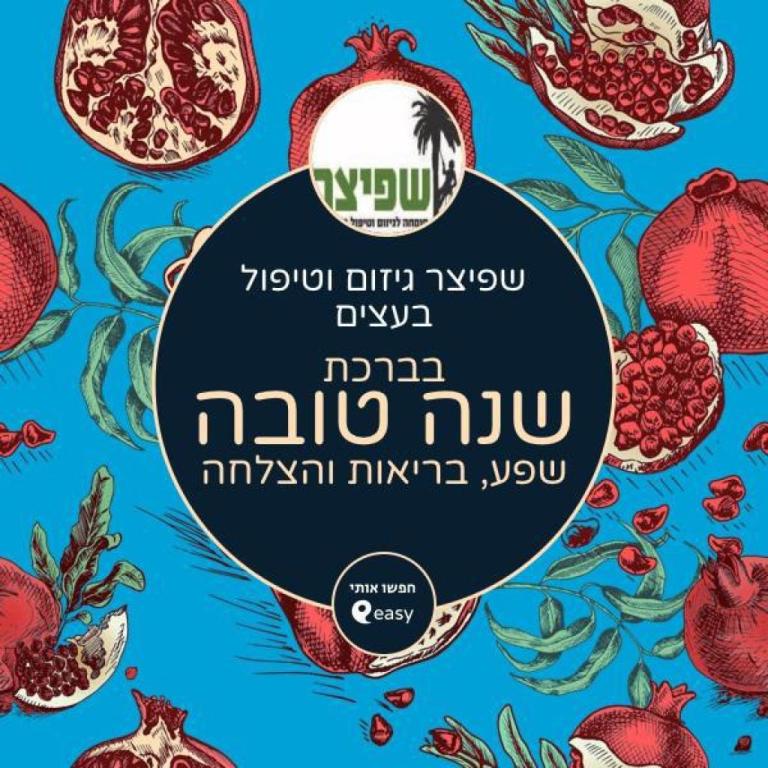 שפיצר גיזום וטיפול בעצים שפיצר גיזום וטיפול בעצים