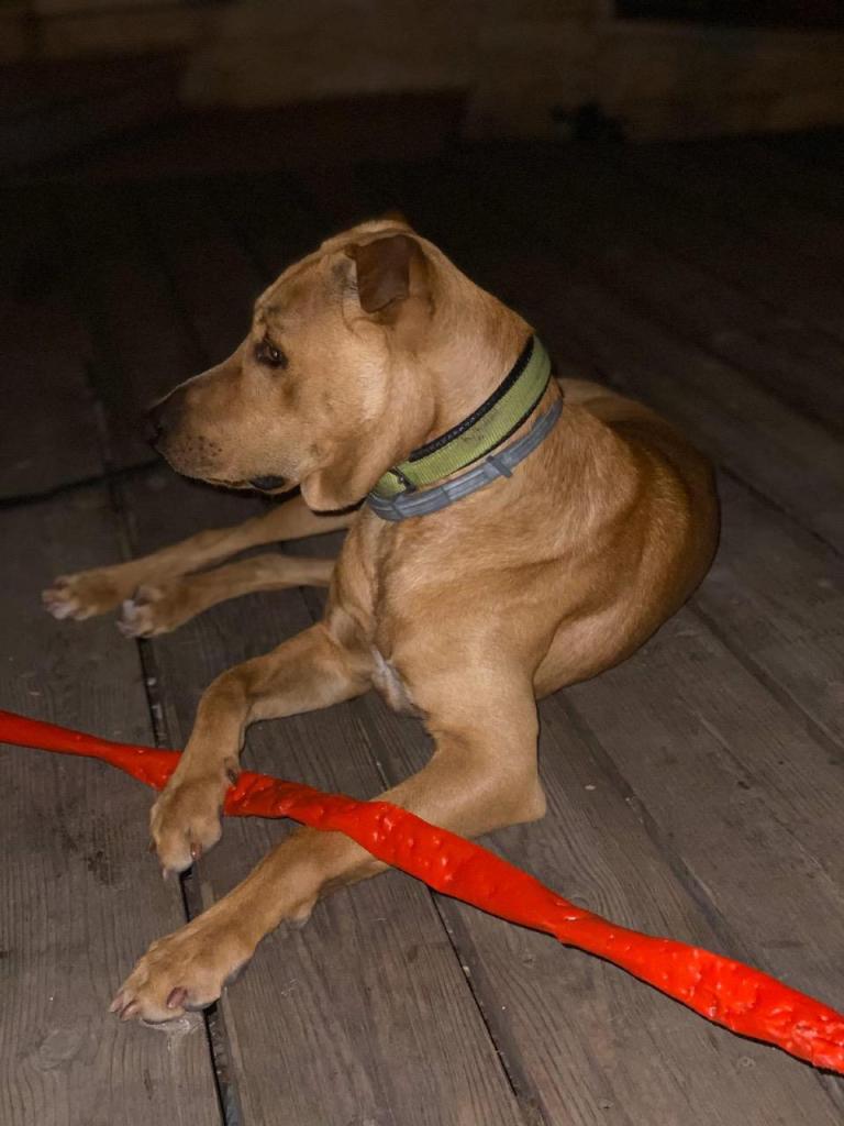 איתי דרור איתי דרור