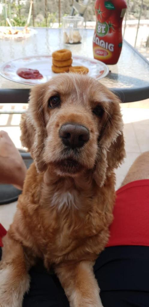 איתי דרור איתי דרור