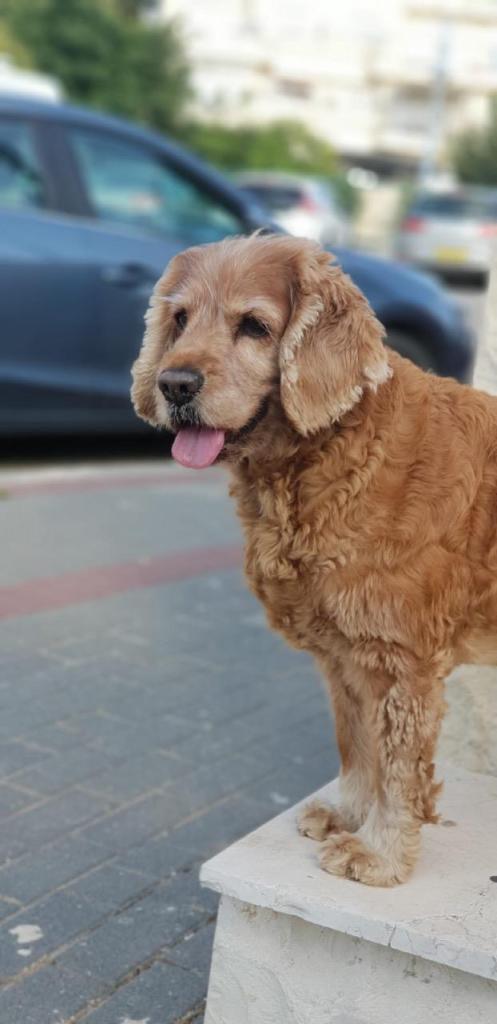 איתי דרור איתי דרור