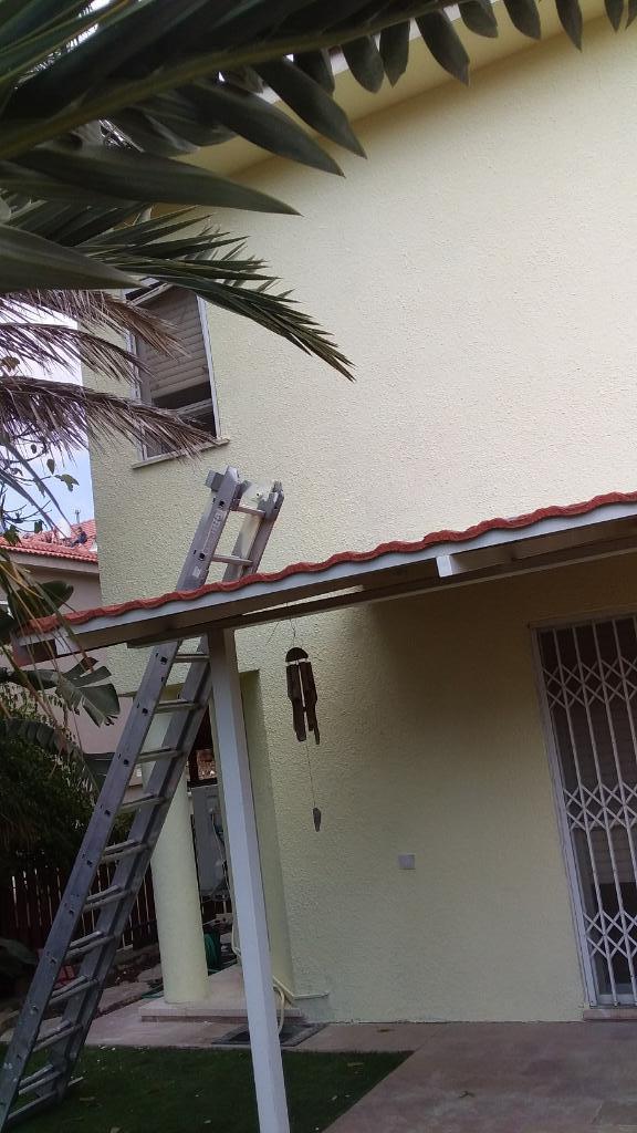 אלופים בצבע אלופים בצבע