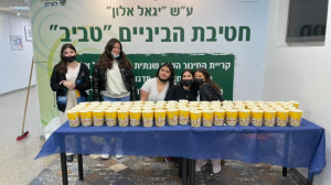 חטיבת ביניים טביב