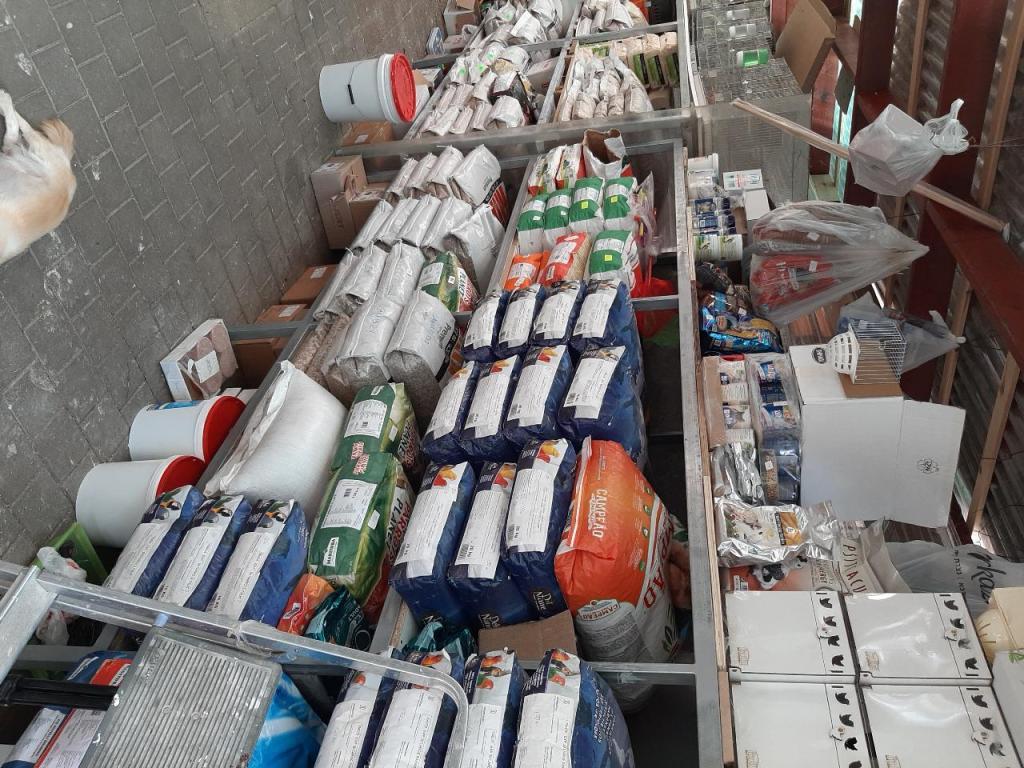 התוכיה התוכיה