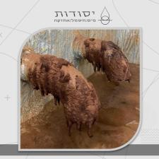 יסודות המים