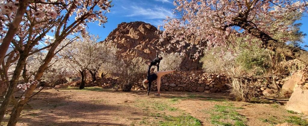 גילת הוראת יוגה גילת הוראת יוגה