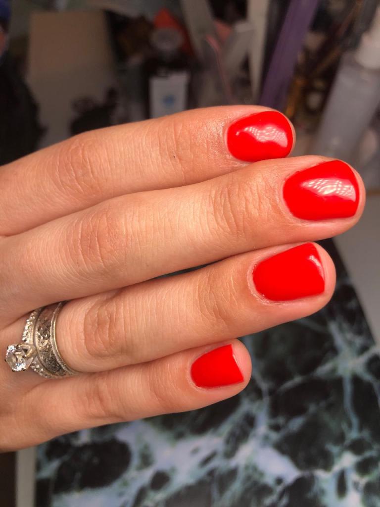 סוזנה נייל בוטיק סוזנה נייל בוטיק