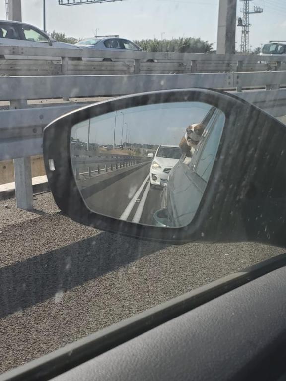 ארייה סחר חלפים ארייה סחר חלפים