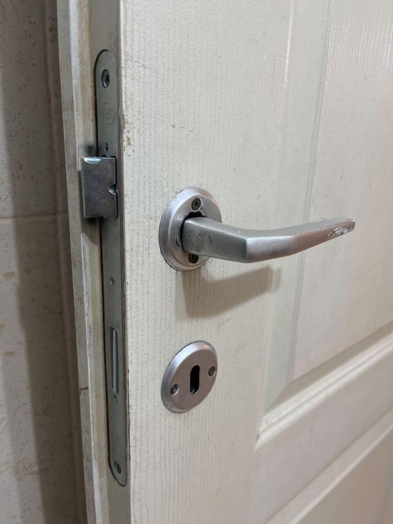 רוית המנעולנית רוית המנעולנית