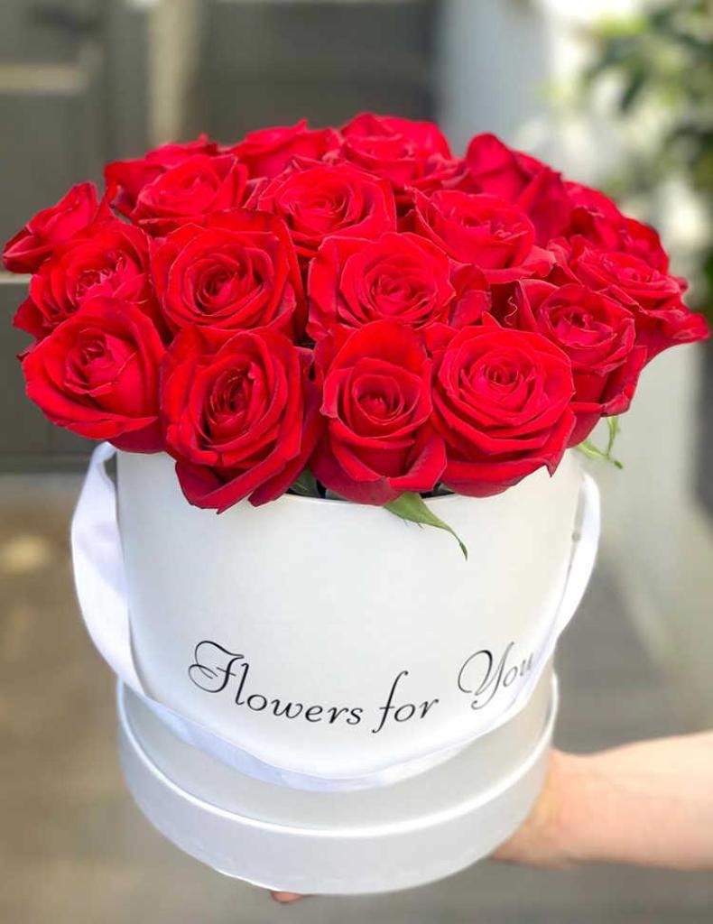 זר פלוס זר פלוס