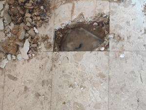 דניאל איתור נזילות