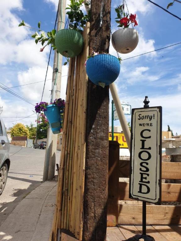 קקטוס 66 ג'וס בר קקטוס 66 ג'וס בר