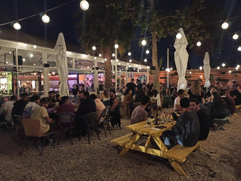 שולה בחצר שולה בחצר