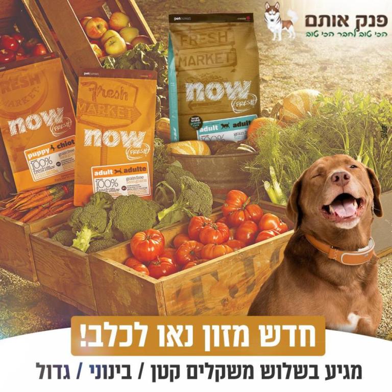 פנק אותם פנק אותם