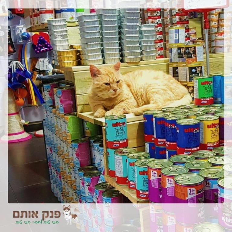 פנק אותם פנק אותם