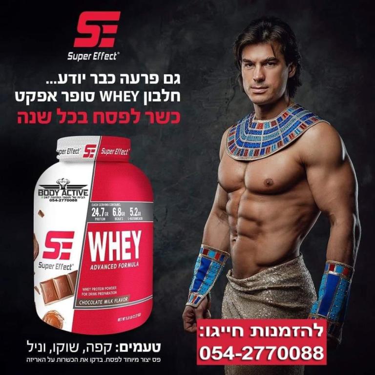 בודי אקטיב בודי אקטיב