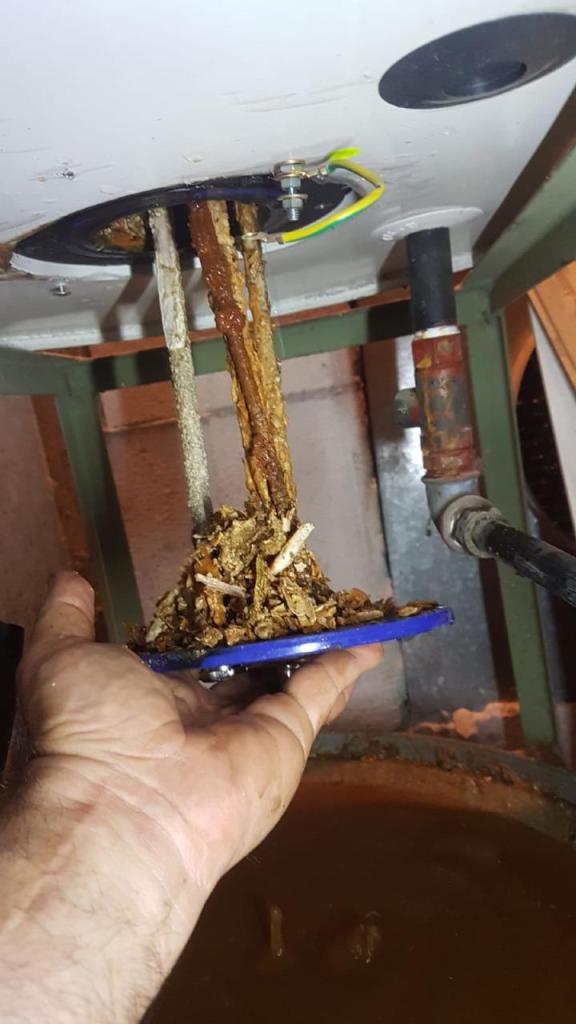 כל דוד שלום סוכר כל דוד שלום סוכר