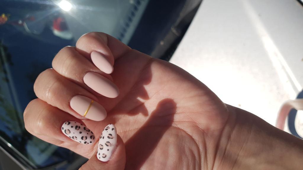 Rashel Nail Rashel Nail