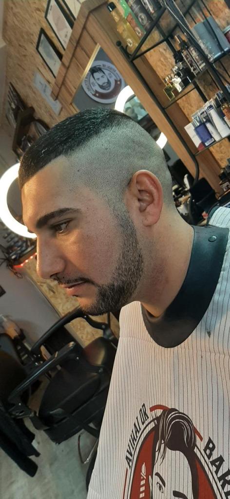 הברבריה הברבריה