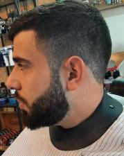 הברבריה