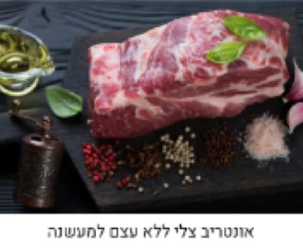 שלמה שיווק בקר ועופות שלמה שיווק בקר ועופות