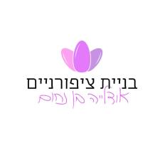 בניית ציפורניים אודליה