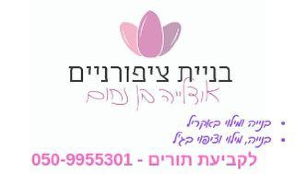 בניית ציפורניים אודליה בניית ציפורניים אודליה