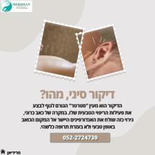 בורוכוב שי