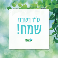 נטו תכנון פיננסי