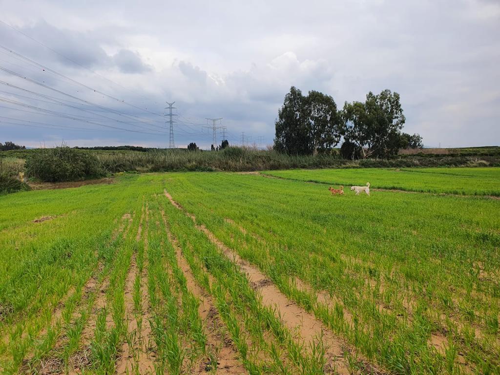 תיווך אחוזת דניה תיווך אחוזת דניה
