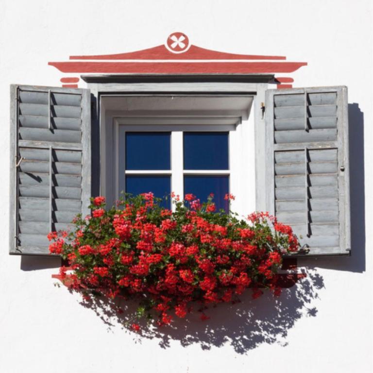 HANDY BENNY HANDY BENNY