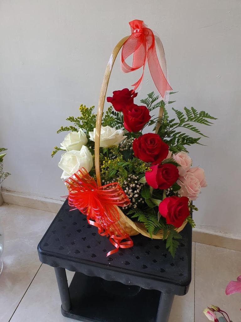 פרחי סאני פרחי סאני