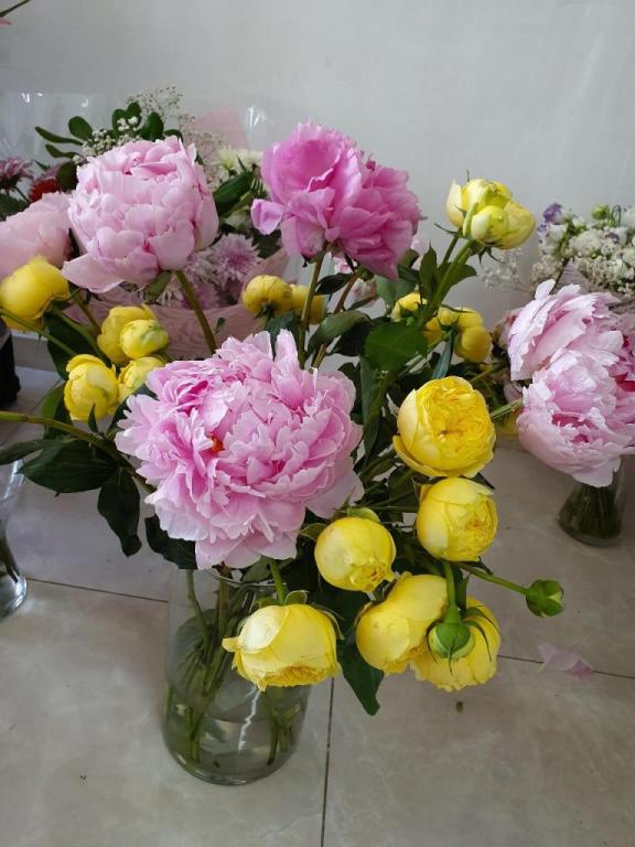 פרחי סאני פרחי סאני