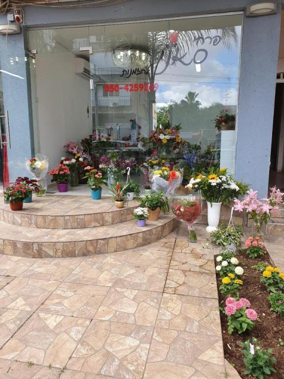 פרחי סאני פרחי סאני