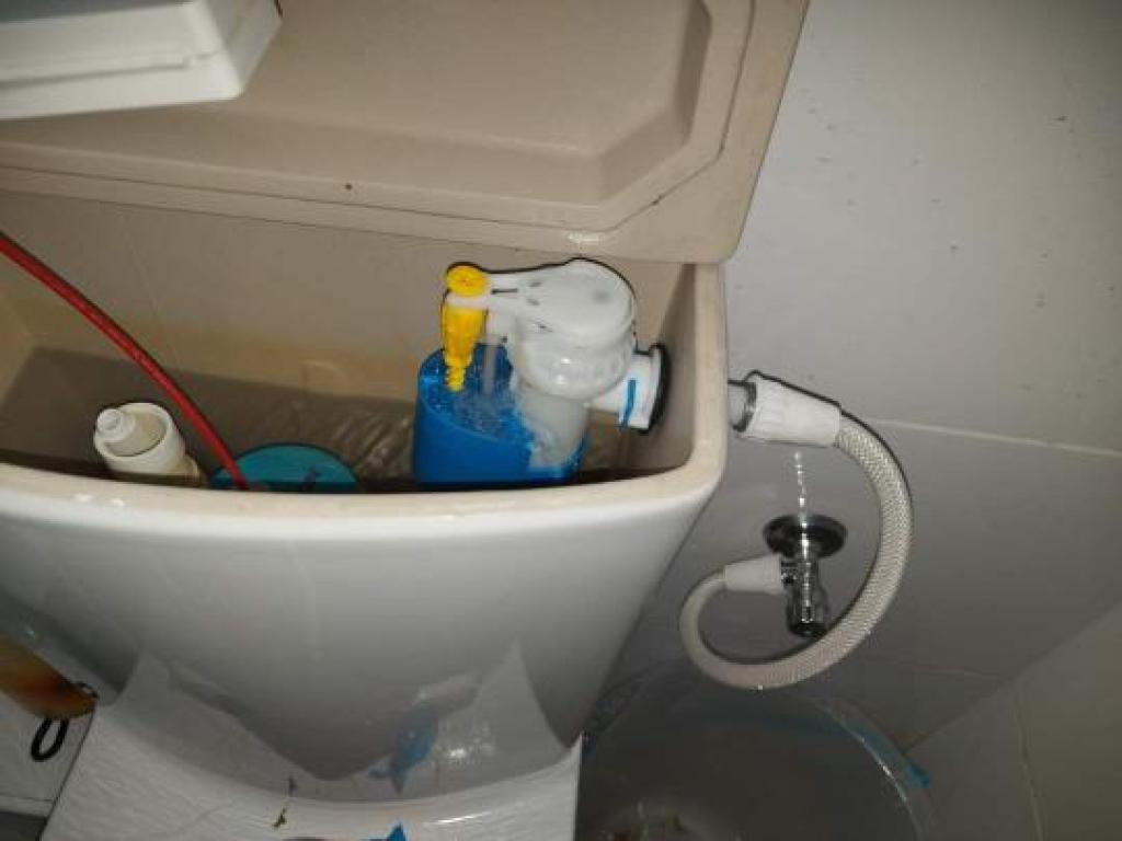 אלי הנדימן אלי הנדימן