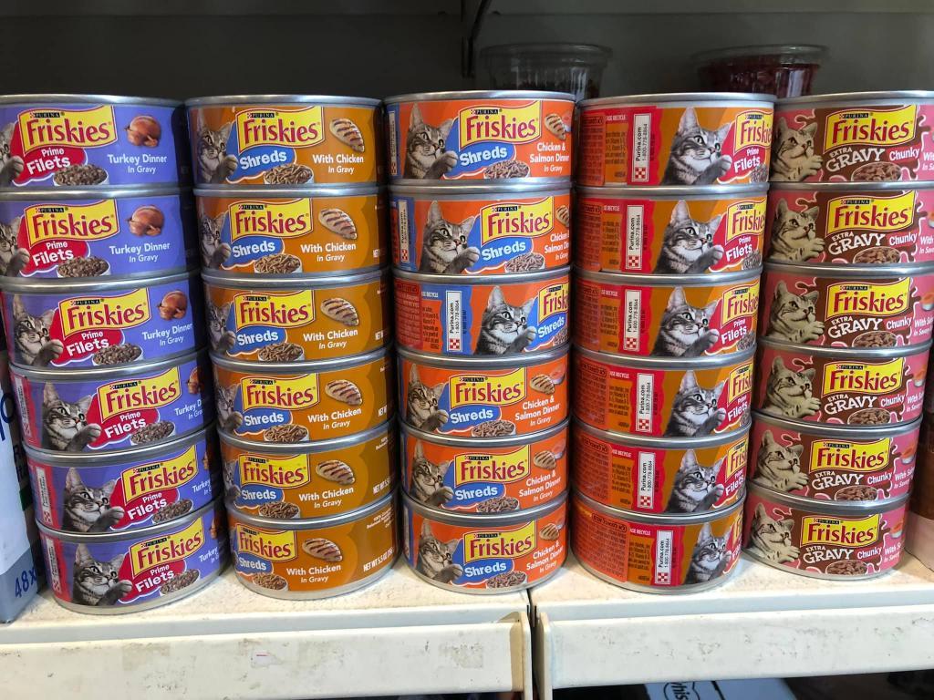 פט כריזמה פט כריזמה