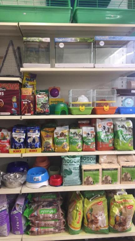 פט כריזמה פט כריזמה