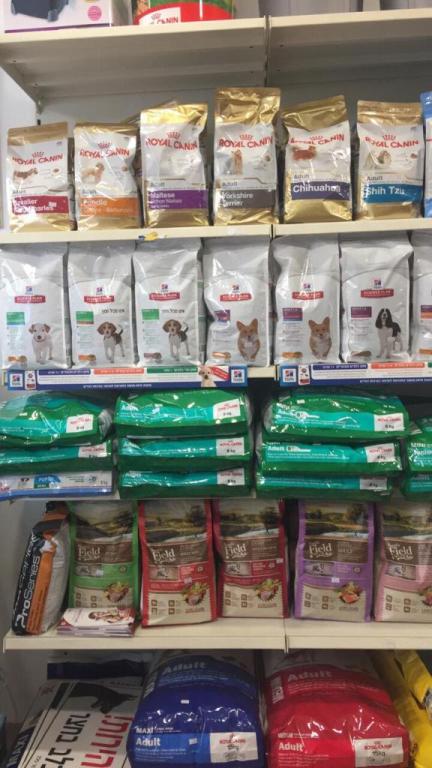 פט כריזמה פט כריזמה