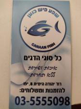 שפע פיש כנען