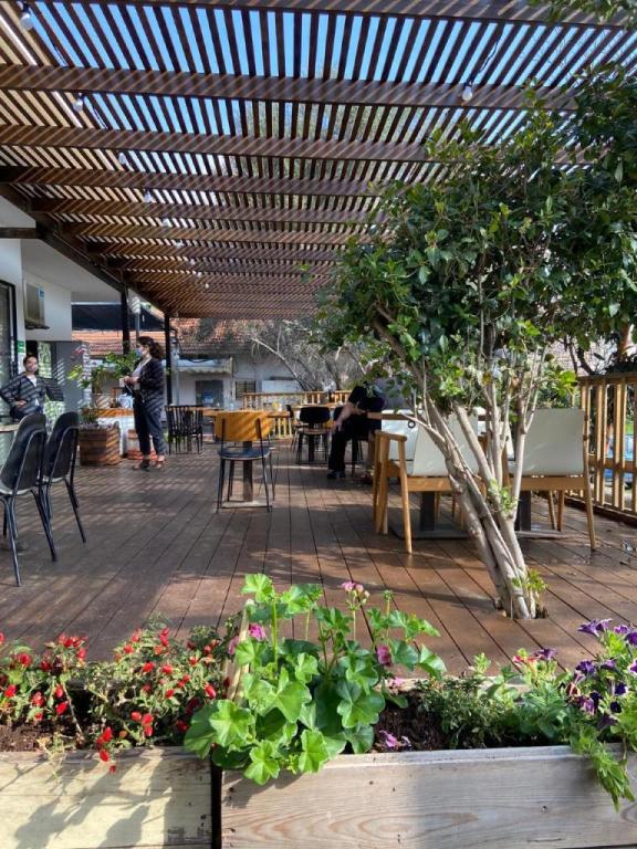 הסולם קפה אוכל אמנות הסולם קפה אוכל אמנות