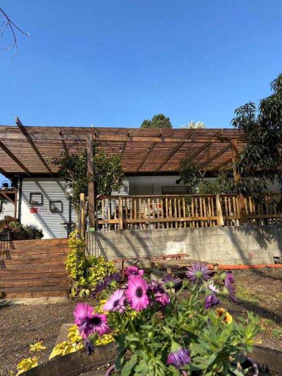 הסולם קפה אוכל אמנות הסולם קפה אוכל אמנות