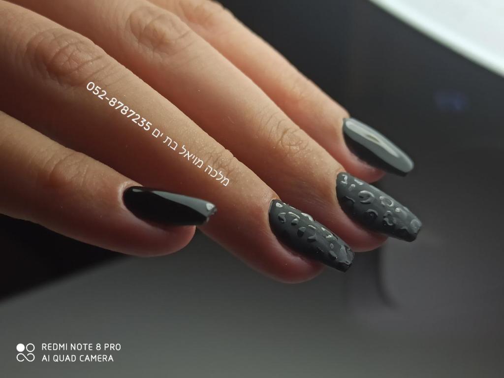 מלכה מויאל מלכה מויאל