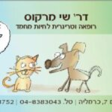 ד"ר מרקוס שי