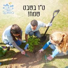ספיראה