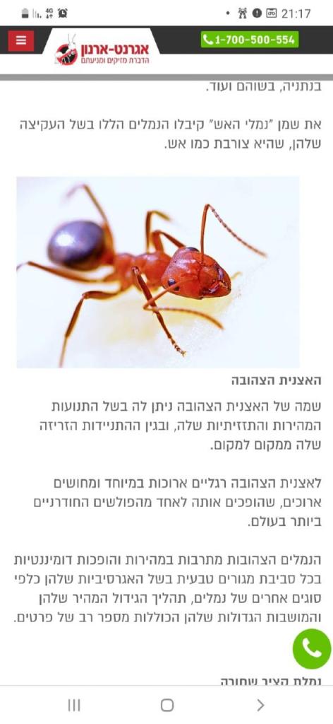 דודי המדביר דודי המדביר