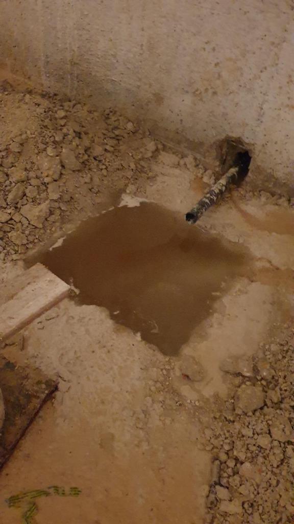 דודי המדביר דודי המדביר