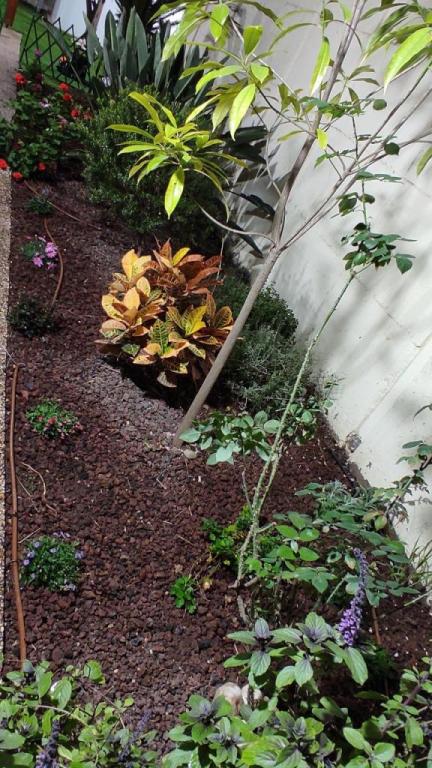 גנן פלוס גנן פלוס