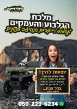 מאיר טיולי רייזרים