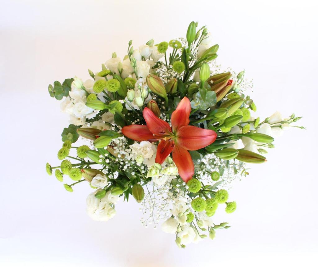 הפרחים של דליה הפרחים של דליה